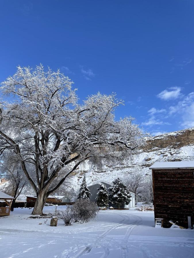 The Homestead Palisade Exterior foto