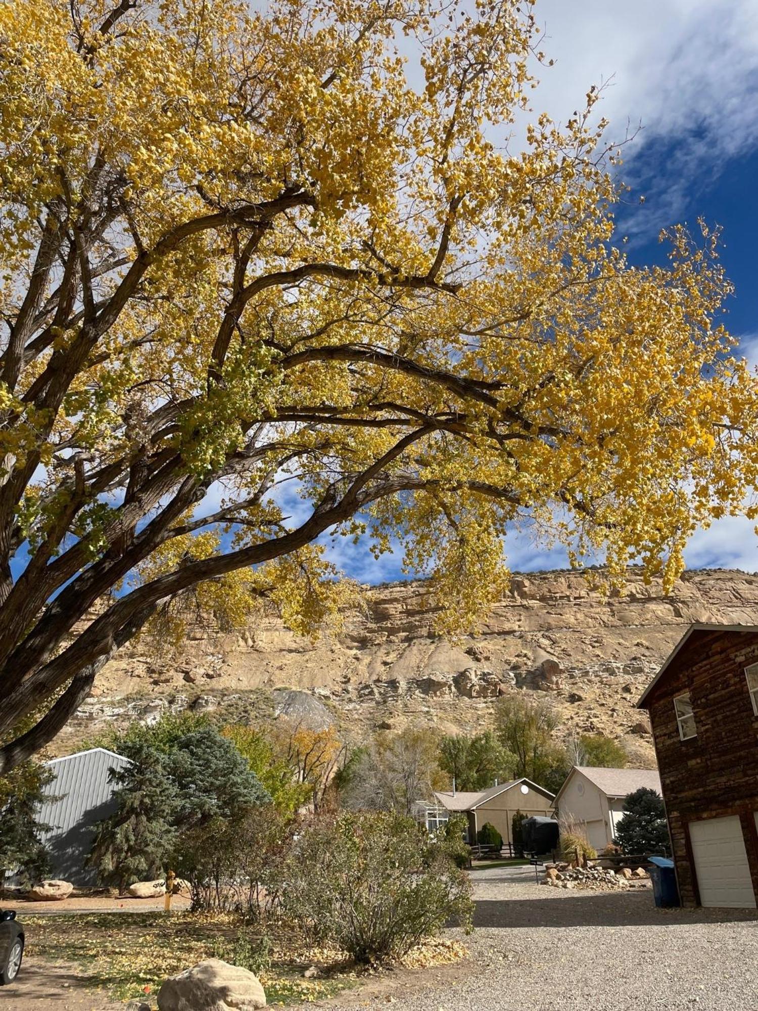 The Homestead Palisade Exterior foto